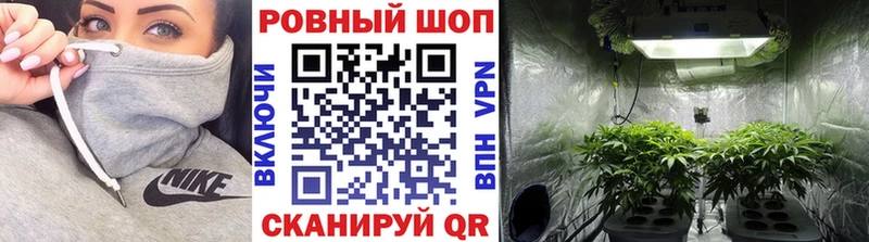 Купить закладку COCAIN Конопля СК ГАШ Лсд 25 Меф мяу мяу Павловск
