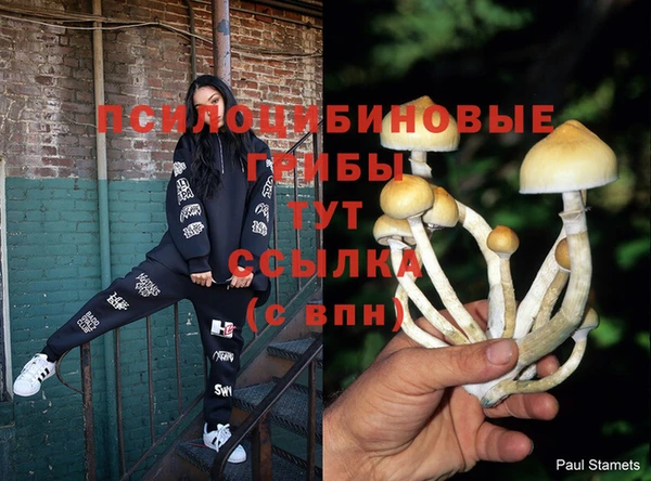 jwh Горняк