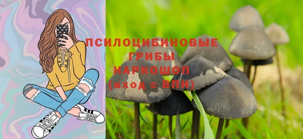 амфетамин Горнозаводск